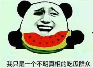 娱乐吃瓜名字怎么取